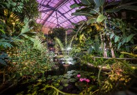 /album/fotogalerie-botanicka-zahrada-uk-praha-venkovni-a-sklenikova-expozice/botanicka-albertov4-jpg1/